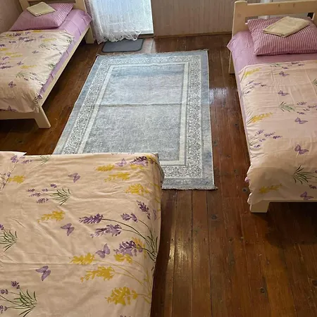 度假村 Fiesta 索洛特维诺