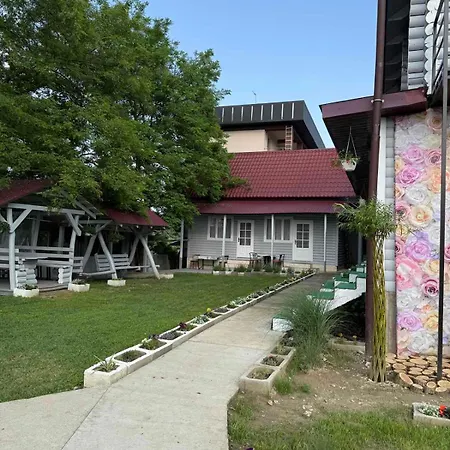 Fiesta 索洛特维诺