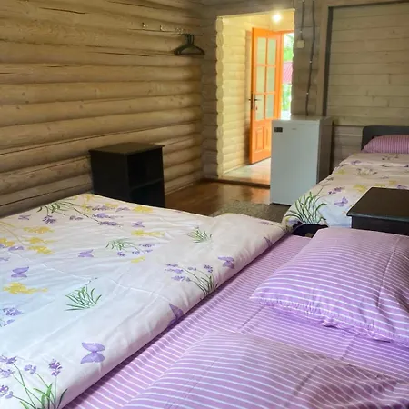 Fiesta * 索洛特维诺